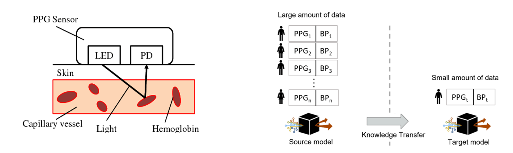 ppg_tl_overview.png