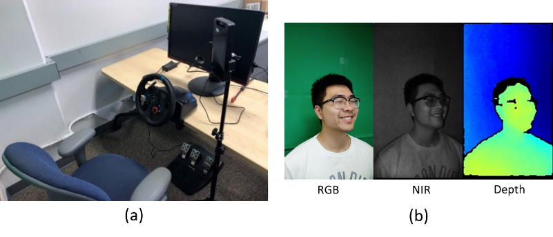 figure 2, driving simulator platform, example images